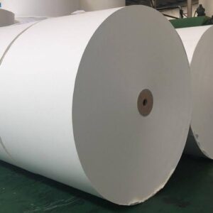 PE Coated Cup Stock Paper Roll